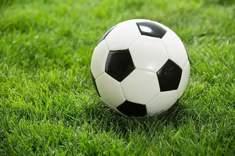 体育媒体内容创作